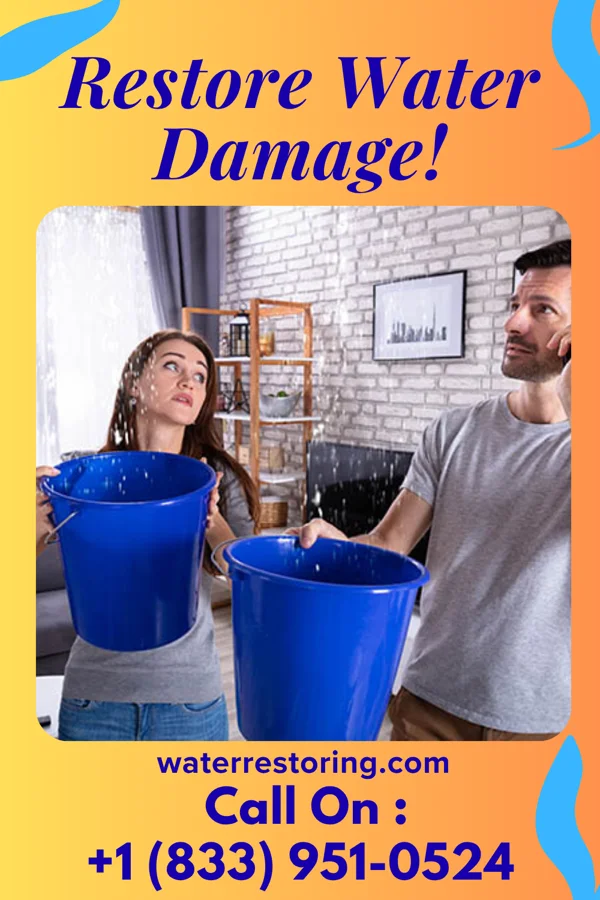 water restoration Premier Water Repair Crew Balmville