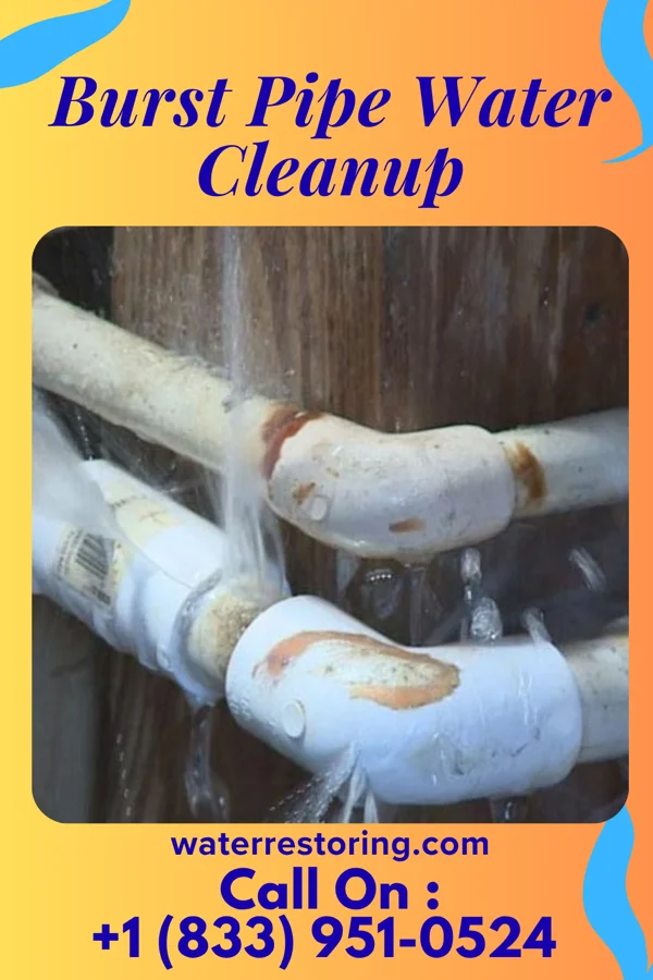 Burst Pipe Water Cleanup in Balmville, NY