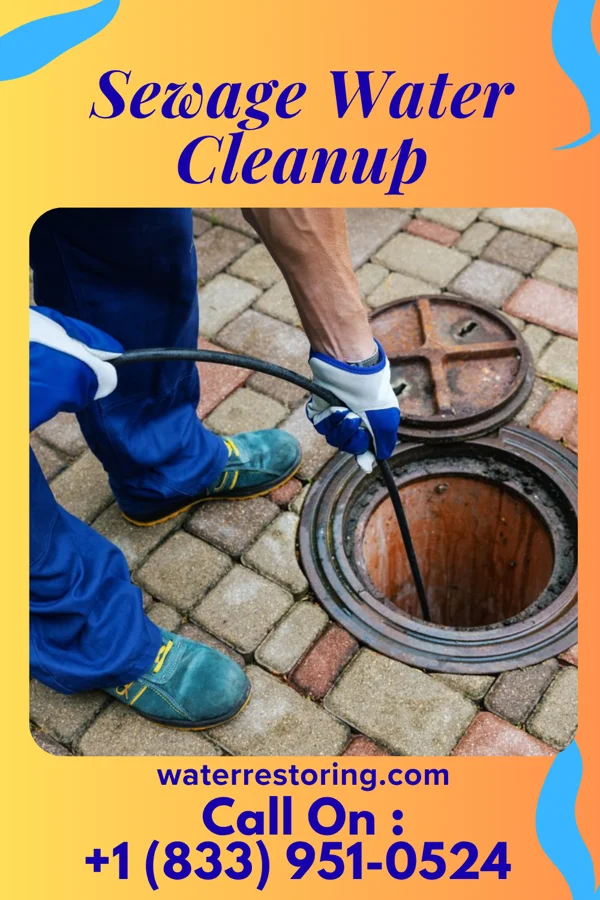 Sewage Water Cleanup in Balmville, NY