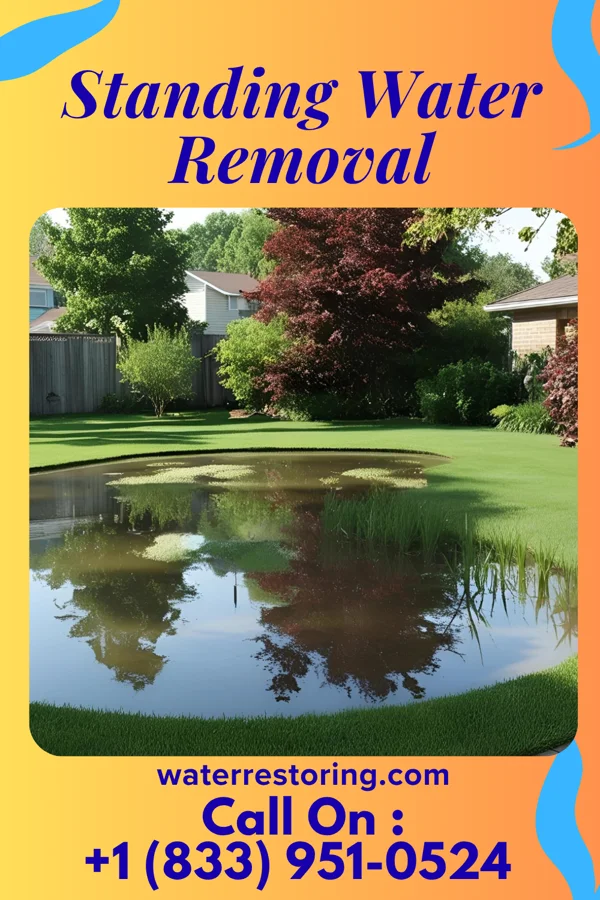 Standing Water Removal in Balmville, NY